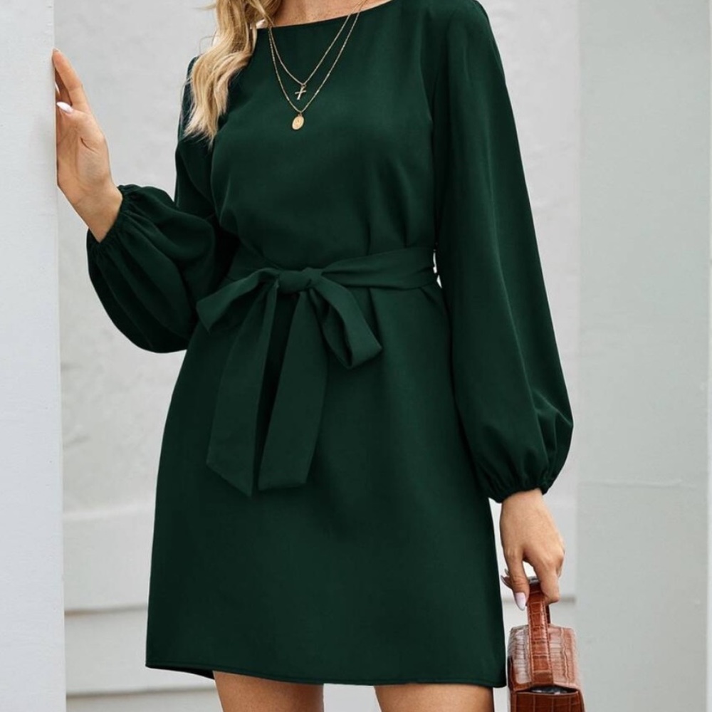 Blue long lantern sleeve  belted dress - Picture 13 of 16